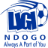 Ligi Ndogo